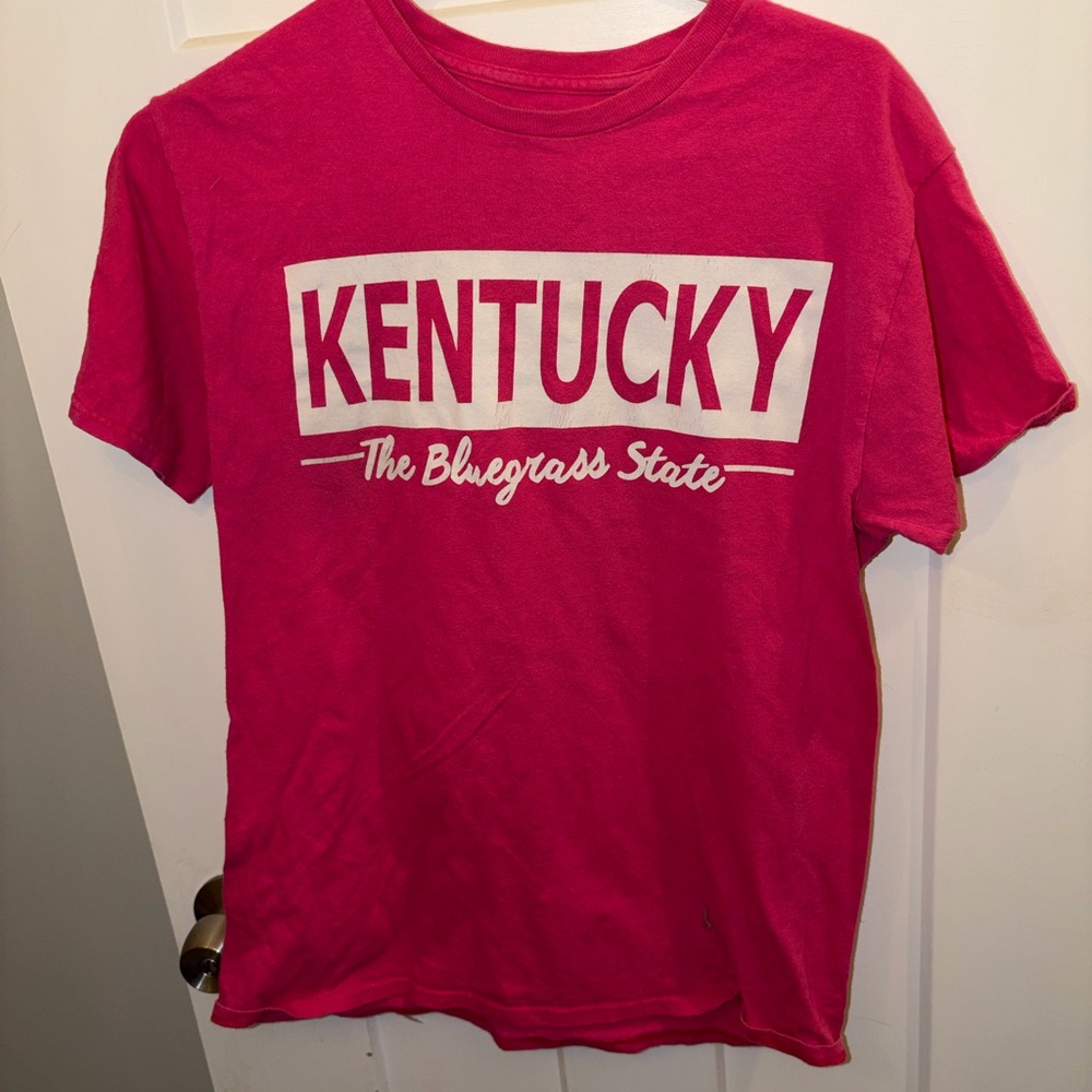 Kentucky The Bluegrass State Pink Kids T-Shirt